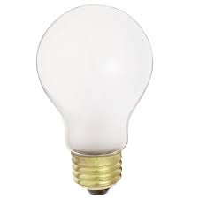 Incandescent Bulb 100W A19