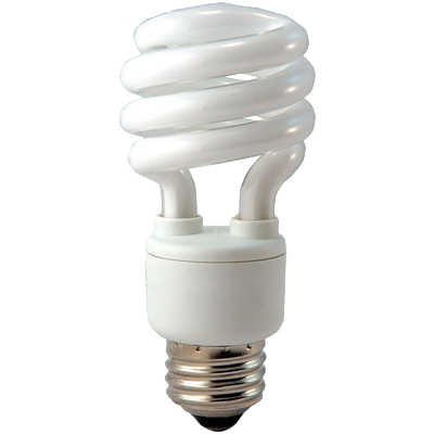 Compact Fluorescent Light Bulb