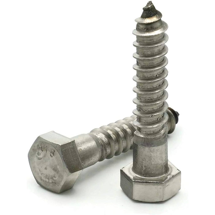 Stainless Steel Hex Screw 1/2"